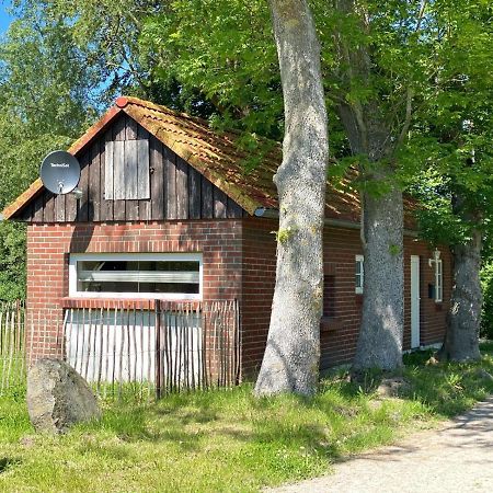 Hofgut Bisdamitz - Ferienhaus "Knoff" Esterno foto