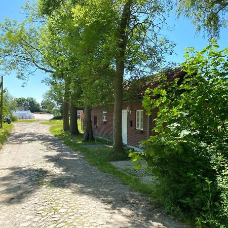 Hofgut Bisdamitz - Ferienhaus "Knoff" Esterno foto