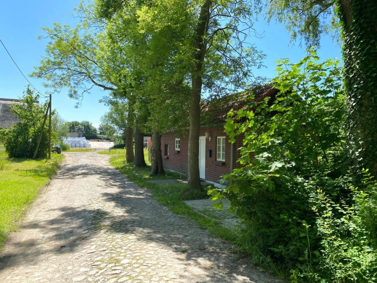 Hofgut Bisdamitz - Ferienhaus "Knoff" Esterno foto