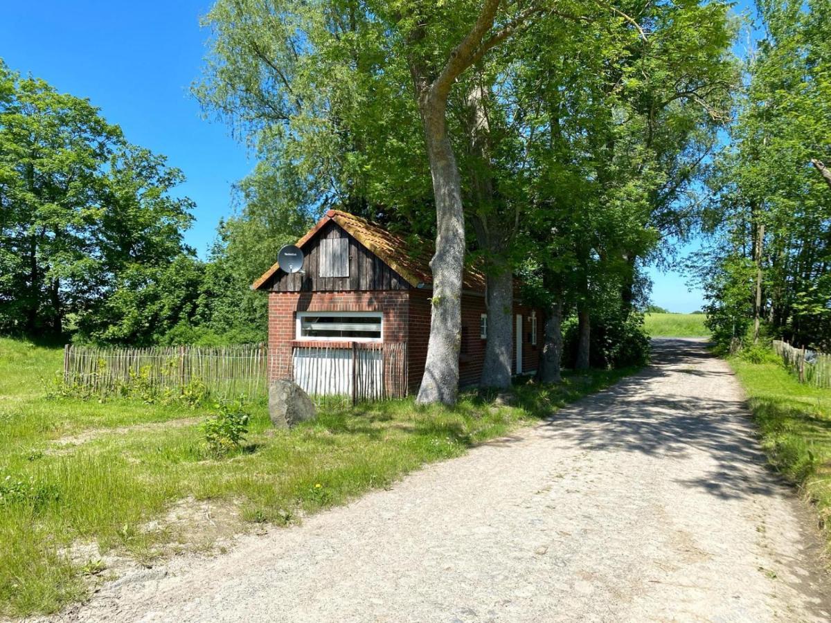 Hofgut Bisdamitz - Ferienhaus "Knoff" Esterno foto