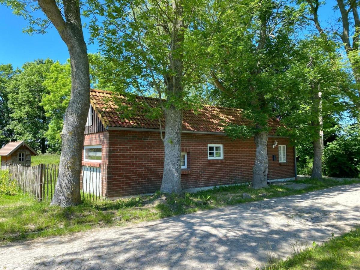 Hofgut Bisdamitz - Ferienhaus "Knoff" Esterno foto